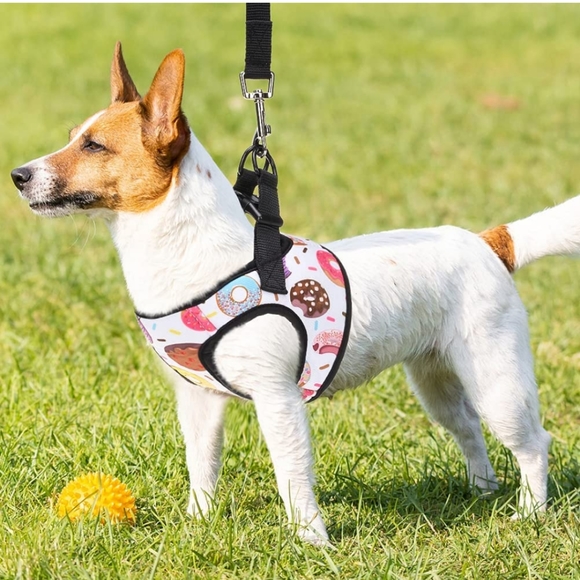 Donut Dog Harness with Leash Set - Picture 5 of 7